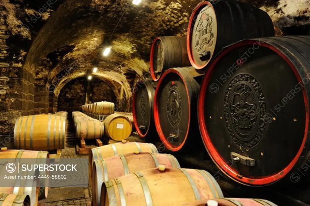 Wine barrels in the winery Bolzano, Bolzano, South Tyrol, Italy, Europe