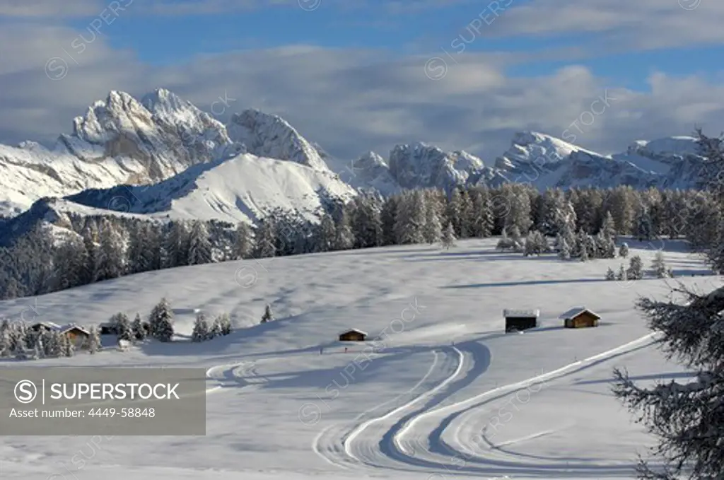 Cross country skiing trail, winter landscape with fresh snow, South Tyrol, Trentino-Alto Adige, Italy