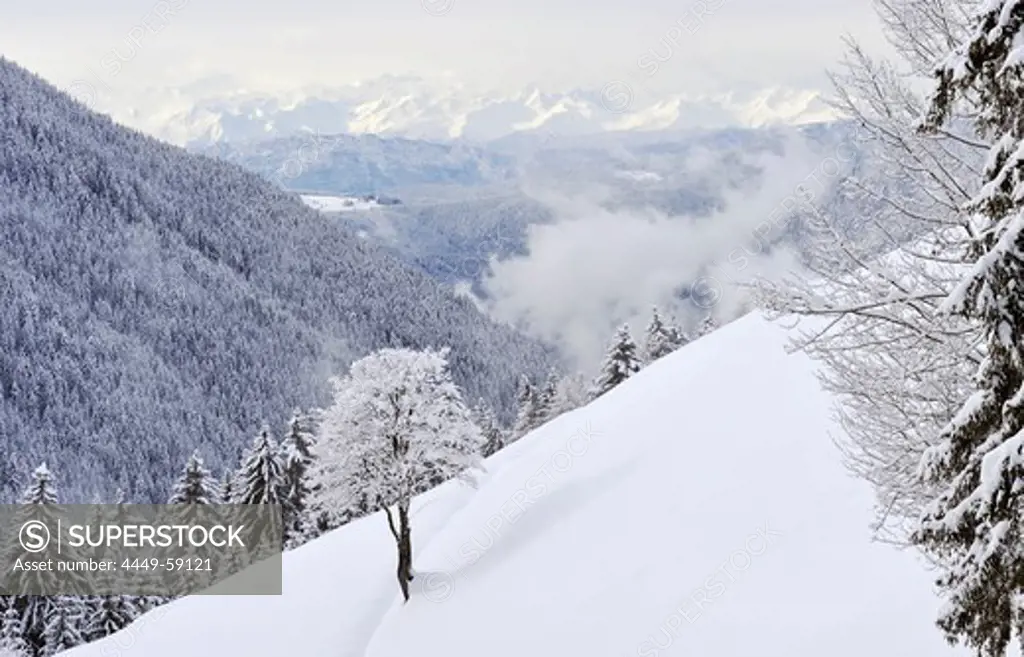 Mountain scenery in winter, Welschnofen, Val d'Ega, South Tyrol, Alto Adige, Italy, Europe