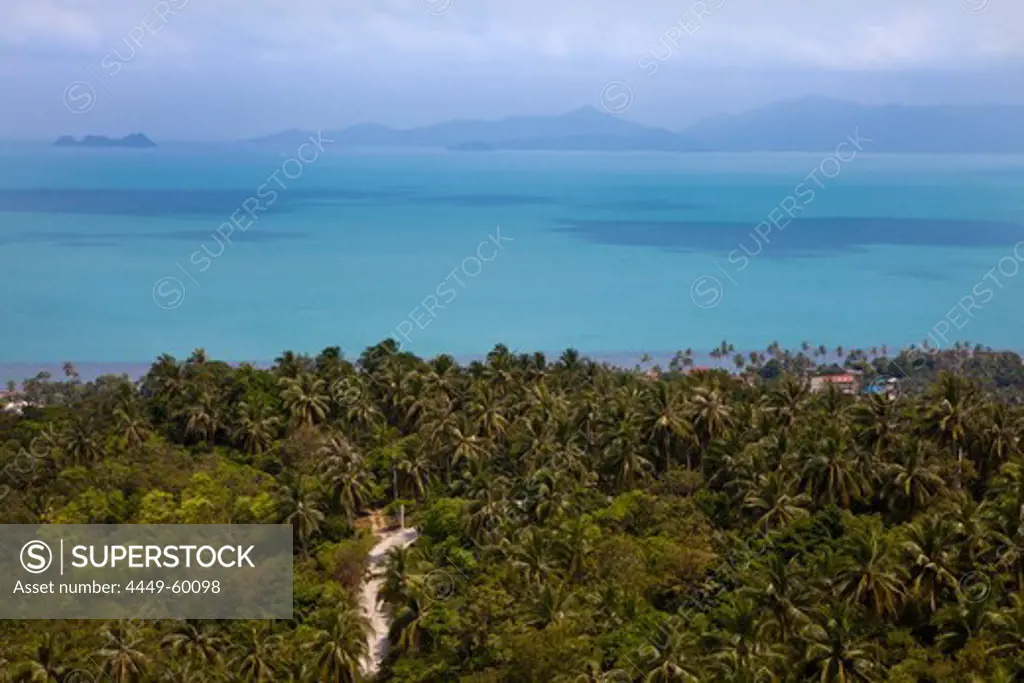 Palm trees on the north coast of Koh Samui Island with view to K, Surat Thani Province, Thailand, Asia