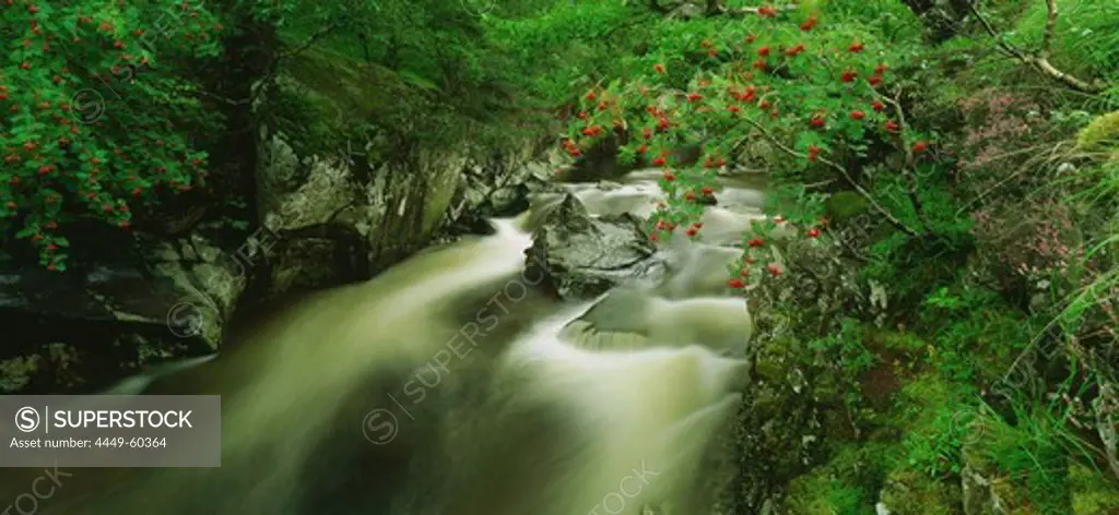 Mountain creek at Ben Nevis, Scotland, Great Britain