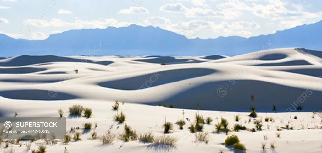 Gypsum dune field in the sunlight, White Sands National Monument, Chihuahua desert, New Mexico, USA, America
