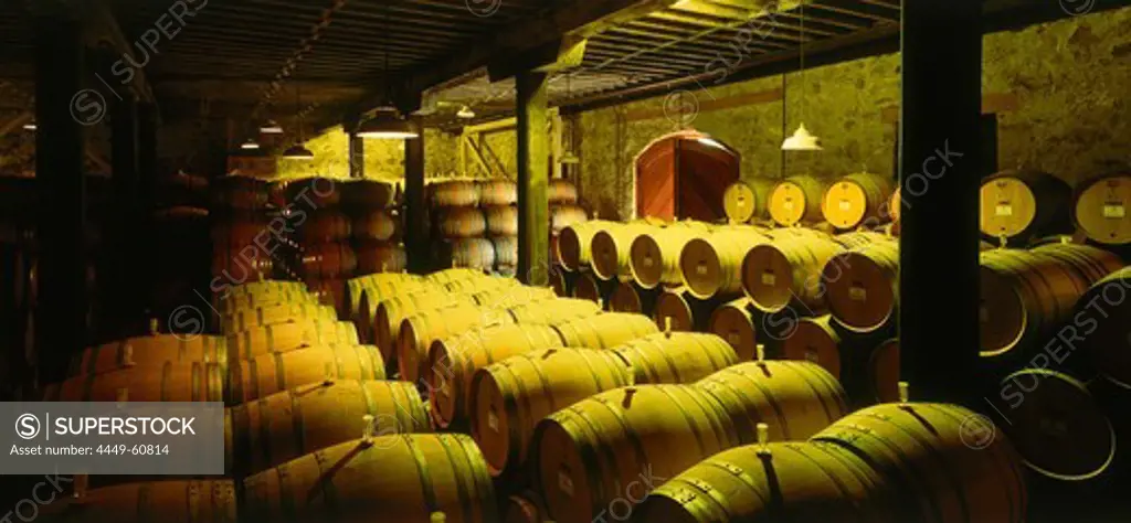 The Hess Collection Winery, near Napa, Napa Valley, California, USA, America
