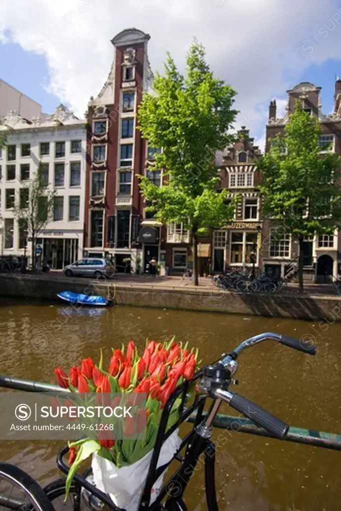 Amsterdam Single Gracht bicycle with tulips