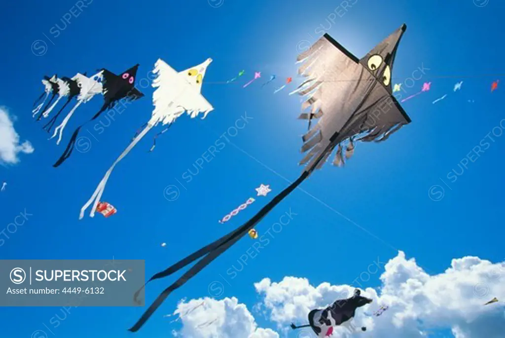 International Kite Festival, Norderney, Kitefestival, East-frisian Islands, Lower Saxony, Germany