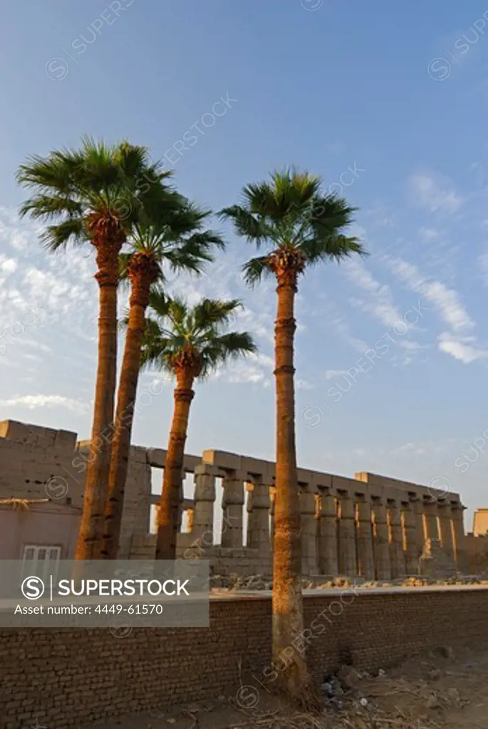 Karnak Temple with palm trees, Karnak, Egypt, Africa