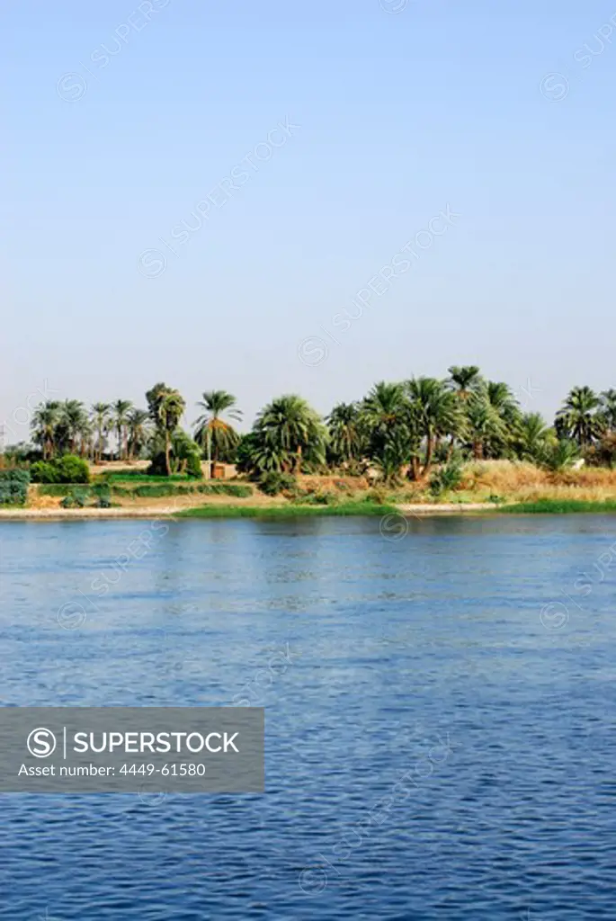 cruise on the Nile, farmers pastures at bank with palm trees, Nile between Luxor and Dendera, Egypt, Africa