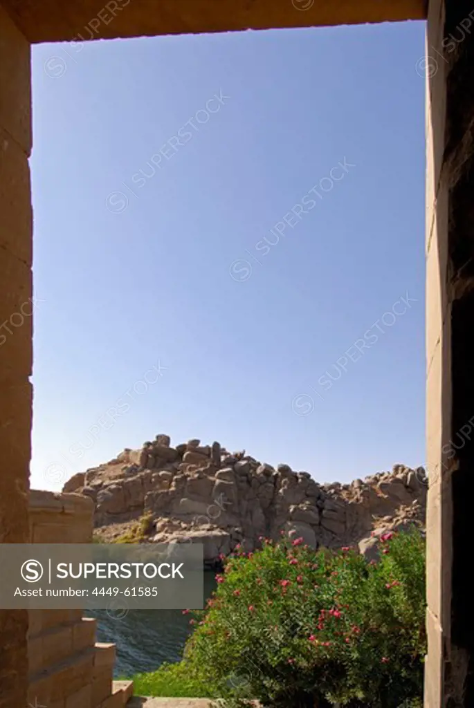 view from entry to a flowering bush and lake Aswan (reservoir), Isis temple on island Philae, lake Aswan, Egypt, Africa