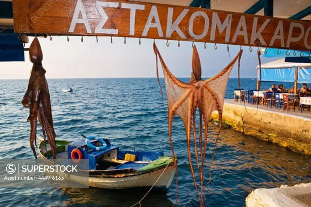 Hung up octopus, Harbour of Koroni, Peloponnese, Greece