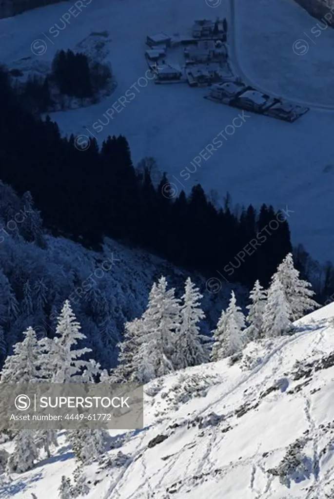 Snow-covered winter forest with view down to village in the deep blue shadow, Peterskoepfl, Zahmer Kaiser, Kaiser range, Kufstein, Tyrol, Austria