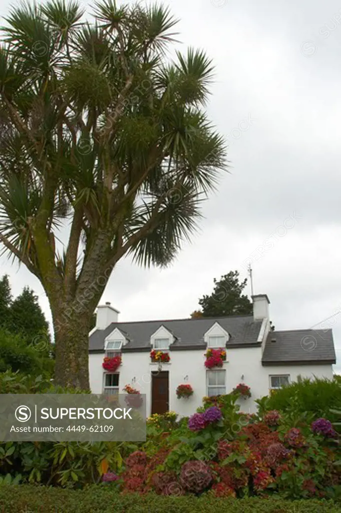 outdoor photo, house with flowers, Glengarriff, Ring of Beara, County Cork, Ireland, Europe