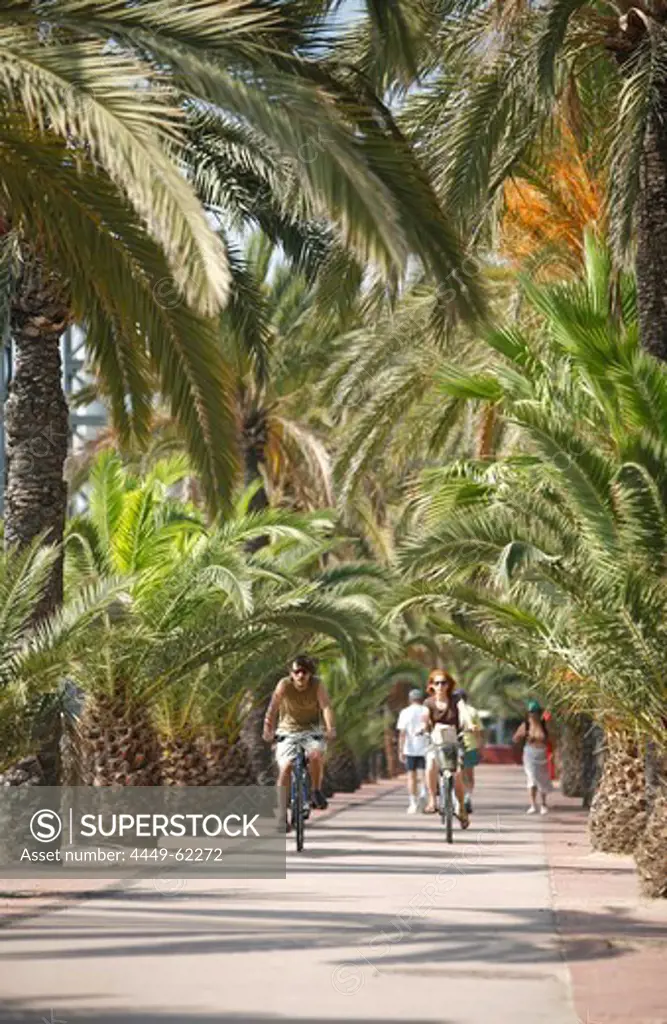 Cycling on Moll Mestral, Port Olympico, Barcelona, Catalonia, Spain