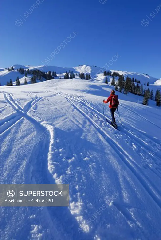 young woman ascending Hoellritzereck and Bleicherhorn through powder snow with hoar frost, Allgaeu range, Allgaeu, Schwabia, Bavaria, Germany