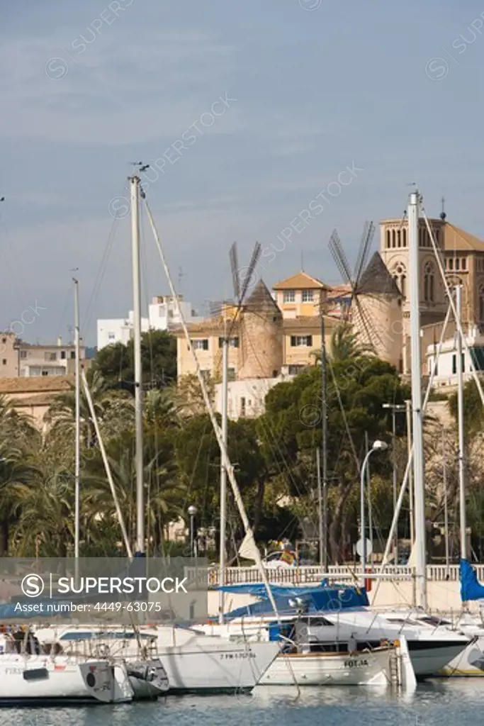 Sailboats and Windmills, Palma, Mallorca, Balearic Islands, Spain