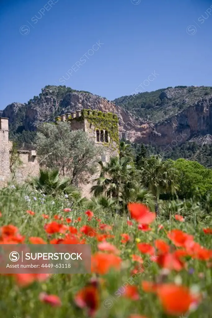 Red Poppies and Son Pont Agroturismo Finca Hotel, Near Puigpunyent, Mallorca, Balearic Islands, Spain