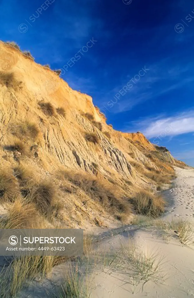 Red cliff in the sunlight, Sylt island, Schleswig Holstein, Germany, Europe