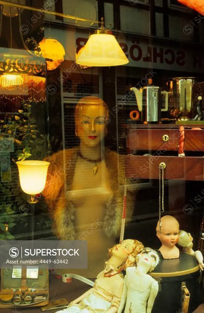 Europe, Germany, Lower Saxony, Goettingen, shop window of an antique shop