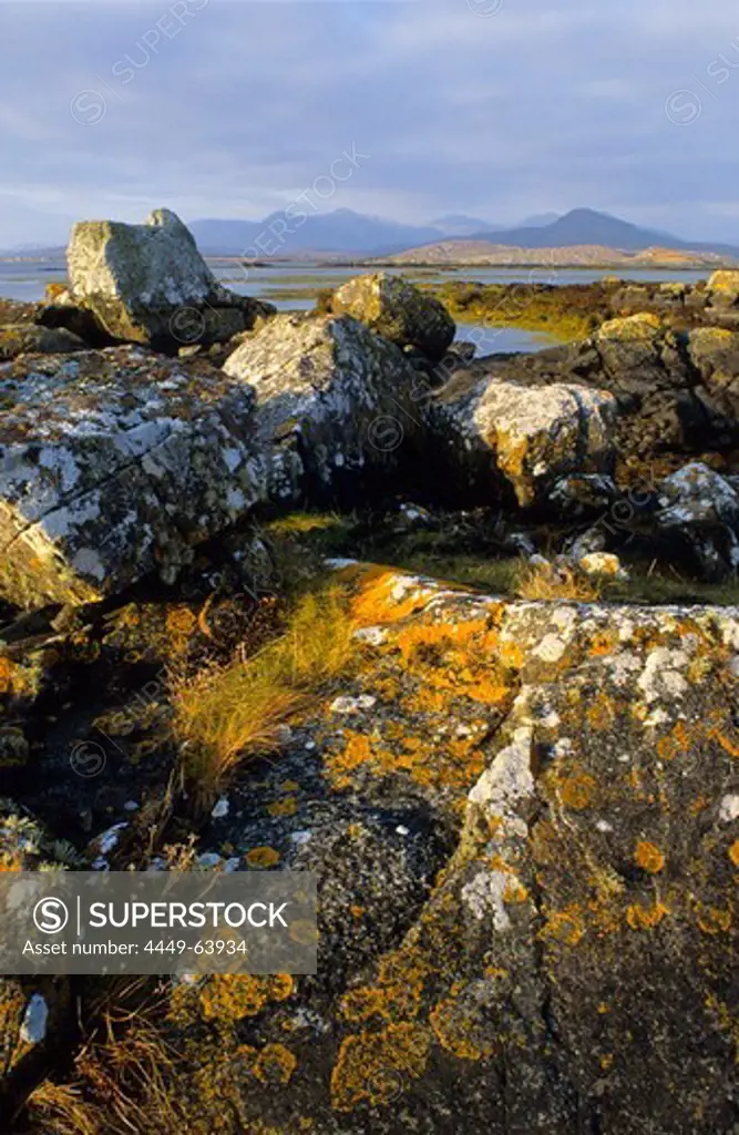 Coastal landscape with rocks and seaweed, Betraghboy Bay, Connemara, Co. Galway, Ireland, Europa