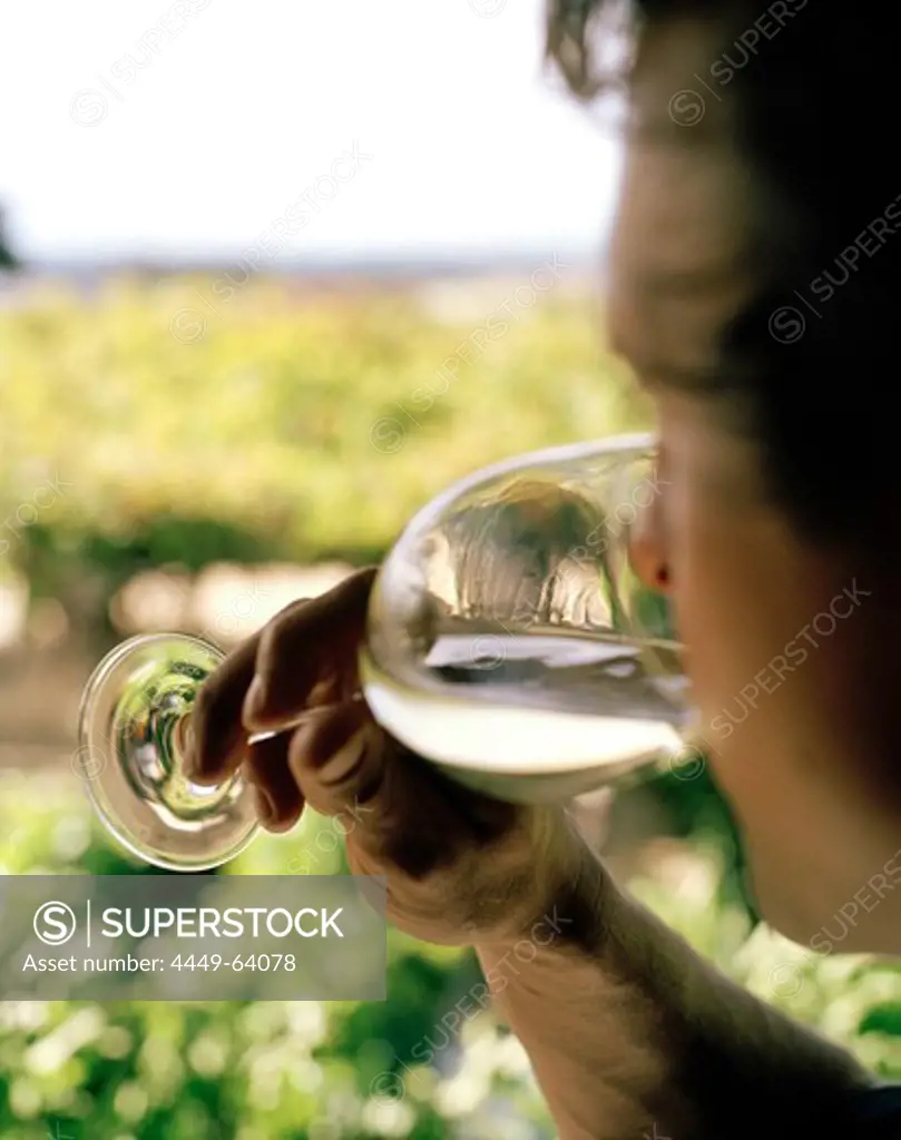 Wine tasting, a man drinking from a wine glass, Black Barn Vineyards, Havelock North, Hawke`s Bay, North Island, New Zealand
