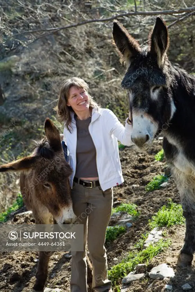 woman with donkeys in the Cevennes mountains, France
