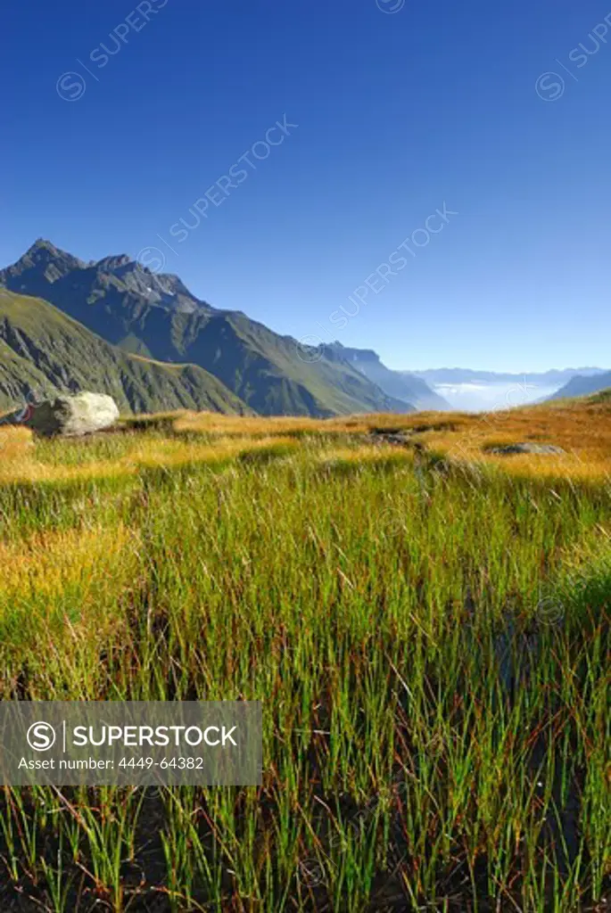 marsh meadow in autumn colours with Habicht in background, fog bank in valley Gschnitztal, Stubaier Alpen range, Stubai, Tyrol, Austria