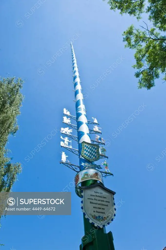 Decorative Maypole, Tradition, Folklore, Oberhaching, Upper Bavaria, Bavaria, Germany
