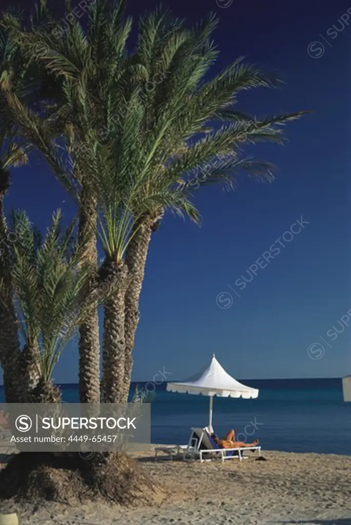Woman sunbathing on the beach, Beach with date palm, Djerba, Tunesia