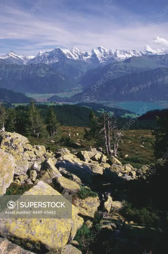 View from Niederhorn towards lake Thun, Eiger, Moench and Jungfrau, Bernese Oberland, Switzerland