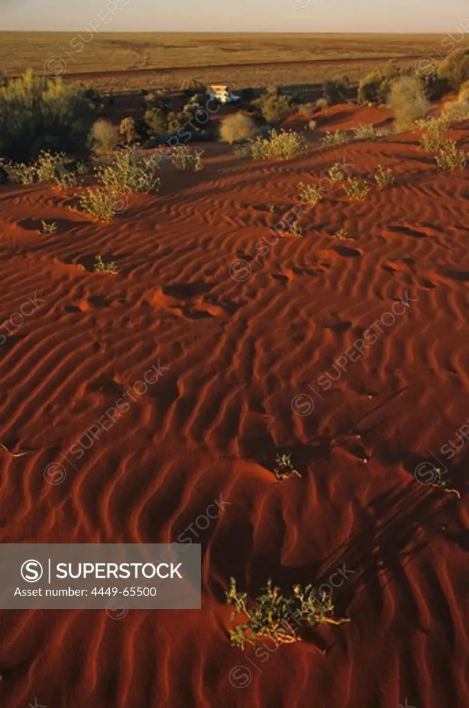 Australia, ripples in red sand dune in outback South Australia