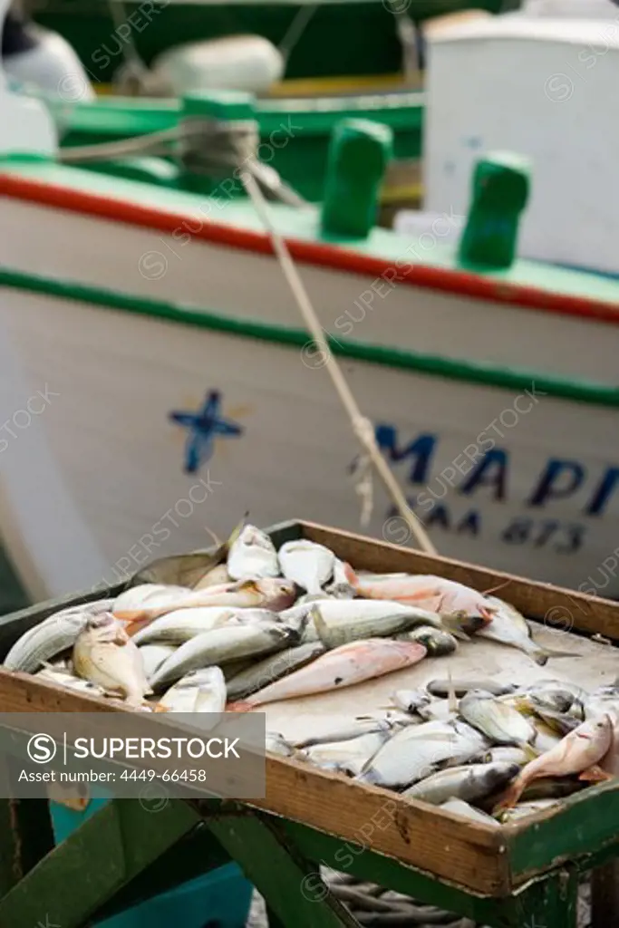 Fish, Mandraki harbour, Kos-Town, Kos, Greece