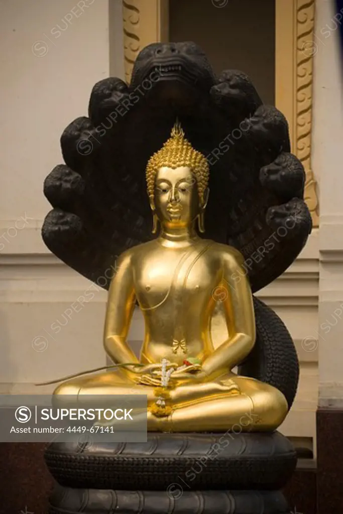 Meditating Buddha, protected by Mucalinda, Wat Suthat, Bangkok, Thailand