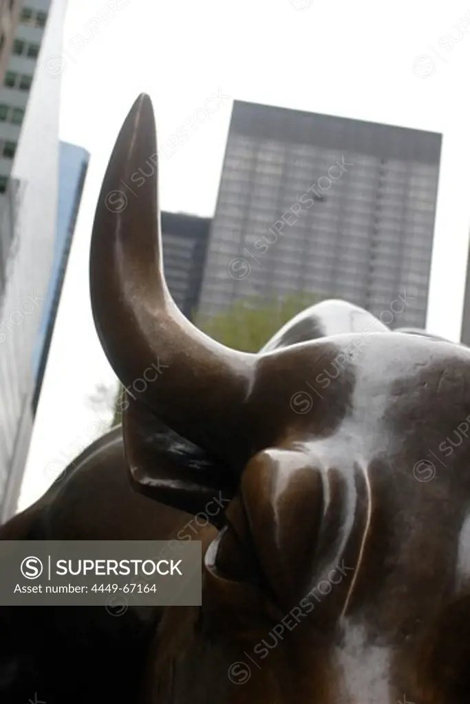 Charging bull, NYSE, Bowling Green, Manhattan, New York City, New York, United States of America, U.S.A.