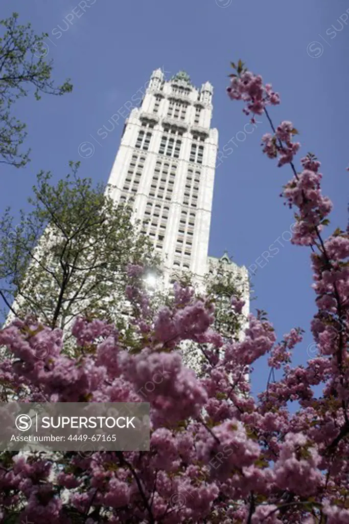Woolworth Building, Broadway, Spring, Manhattan, New York City, New York, United States of America, U.S.A.