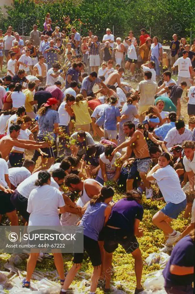 Group of people having a grape fight at the Wine Festival, Benissalem, Mallorca, Spain