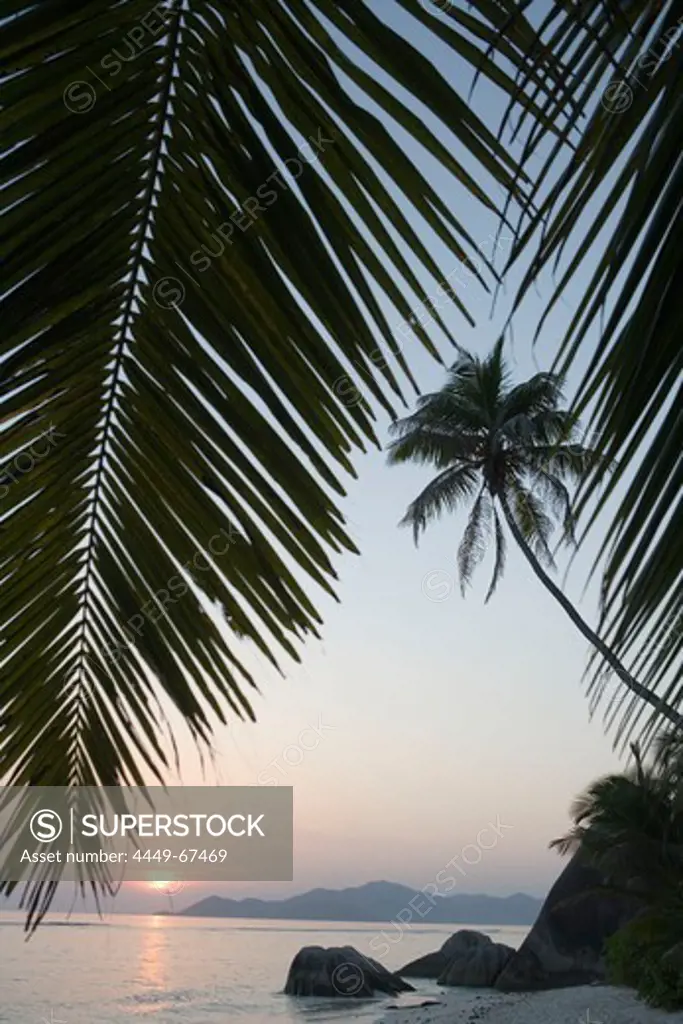 Coconut Tree Sunset Silhouette at Pte. Source D'Argent, La Digue Island, Seychelles