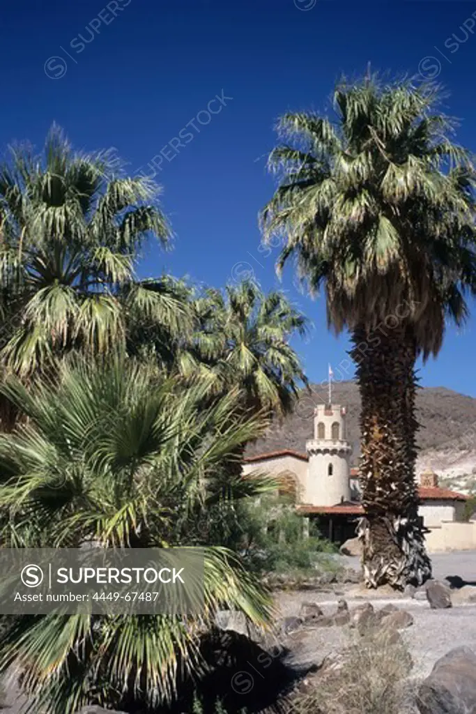 Palm trees & Scotty's Castle, Death Valley National Park, California, USA