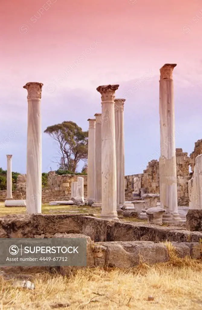 Ruins of the most famous and ancient city of Cyprus, Salamis, Famagusta, North Cyprus
