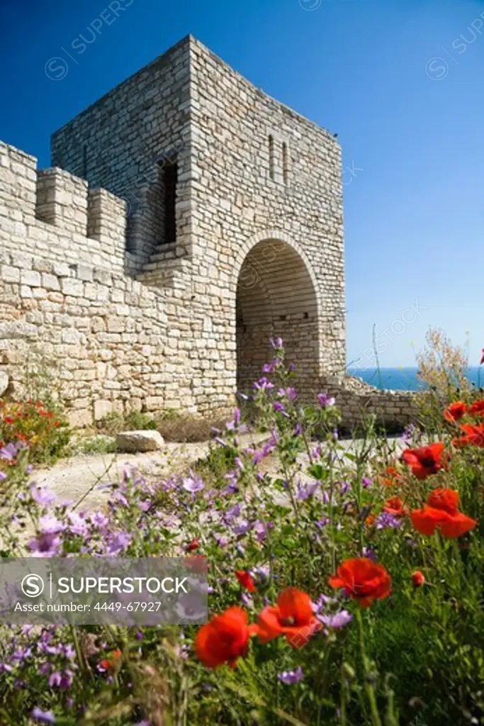 Flowers and castle in the sunlight, Cape Kaliakra, Black Sea, Bulgaria, Europe