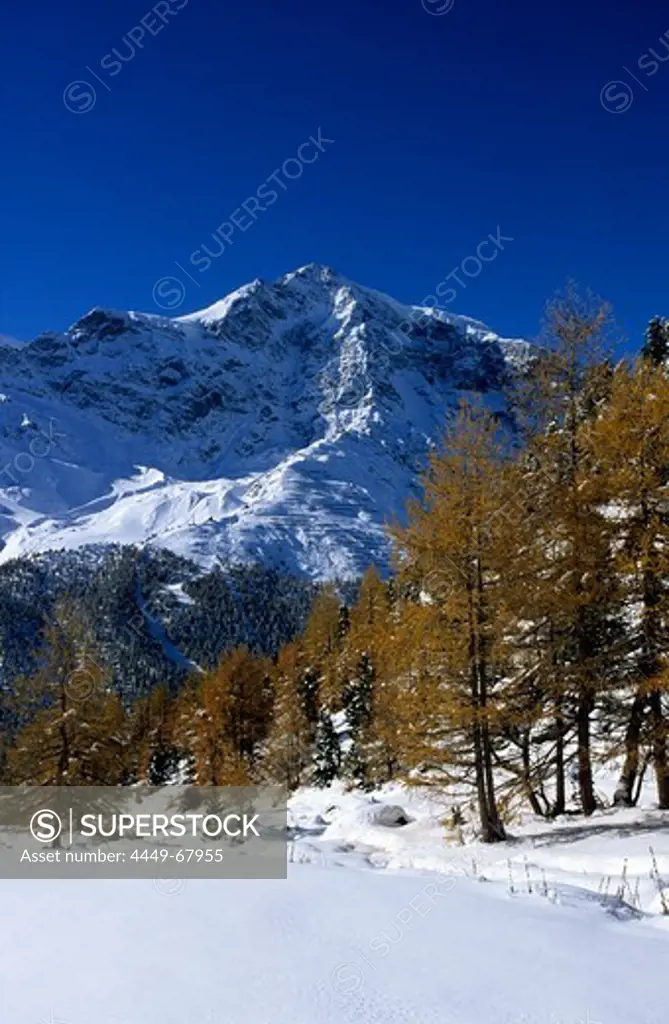 Ortler, Ortler range, South Tyrol, Italy