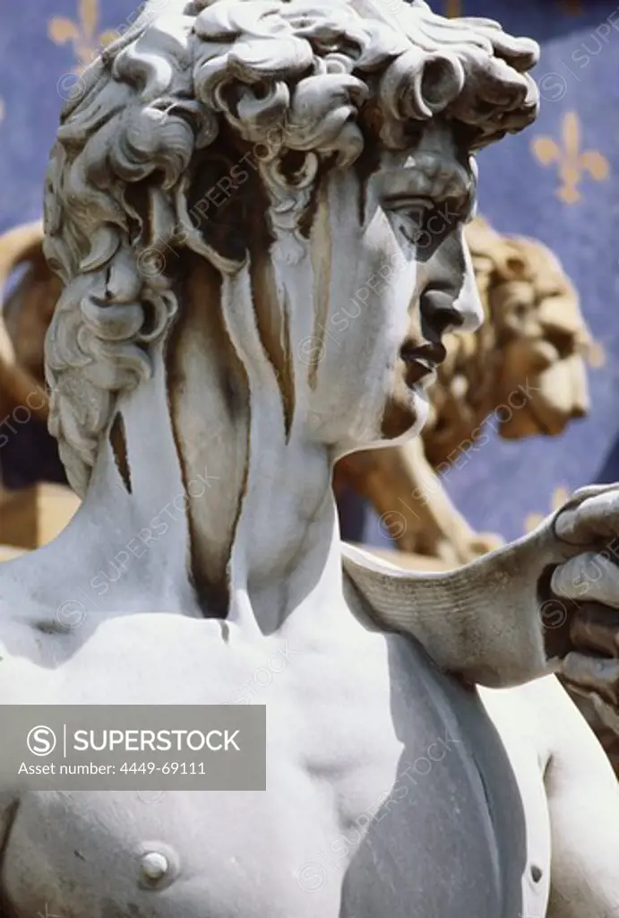 Close up of Michelangelos David statue, Florence, Italy