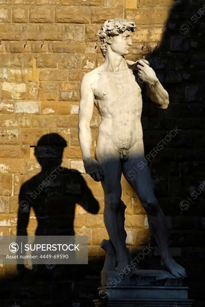David, a sculpture from Michelangelo, Florence, Tuscany, Italy