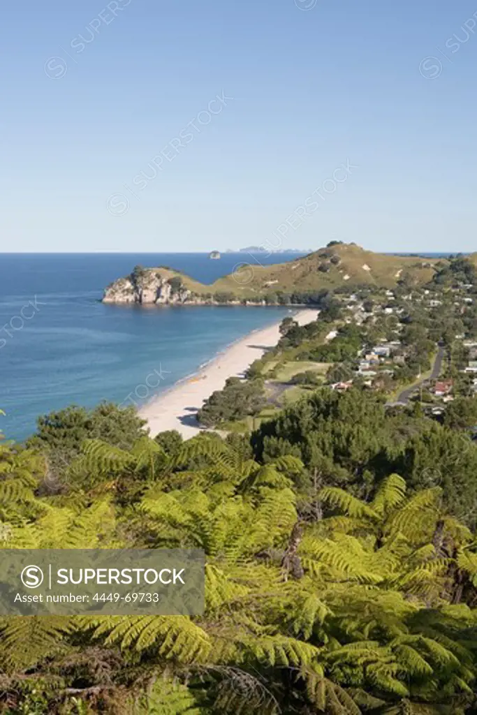 Treeferns and Hahei Beach, Hahei, Coromandel Peninsula, North Island, New Zealand