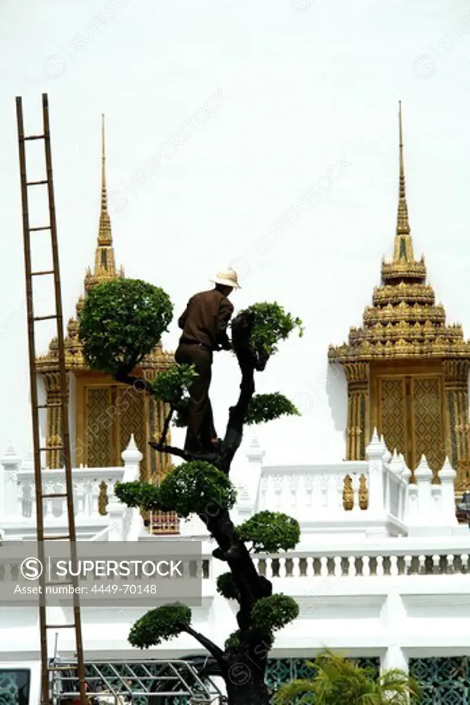 Gardener in Bangkok, Temple, Thailand, Asia