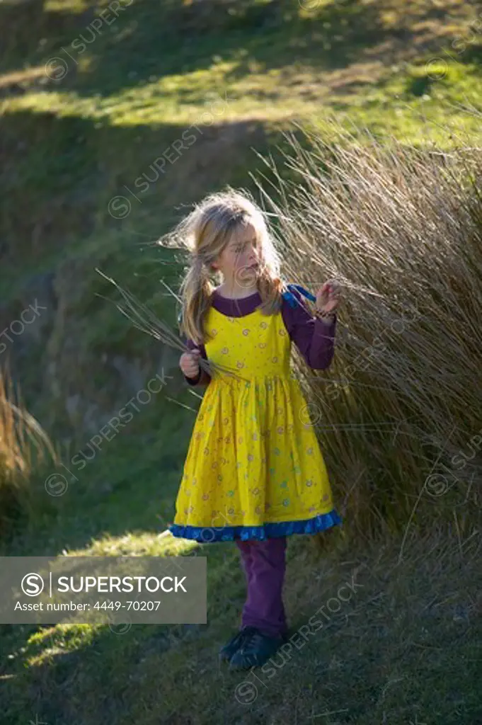 Girl on farmland, near Puponga, Golden Bay, northern coast of South Island, New Zealand