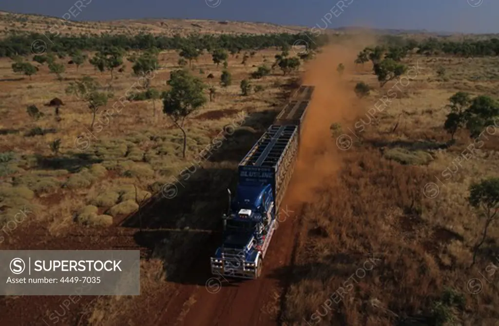 Aerial view, Cattle truck on dirt road in the Kimberleys, desert and savannah, Kimberley, Western Australia, Australia