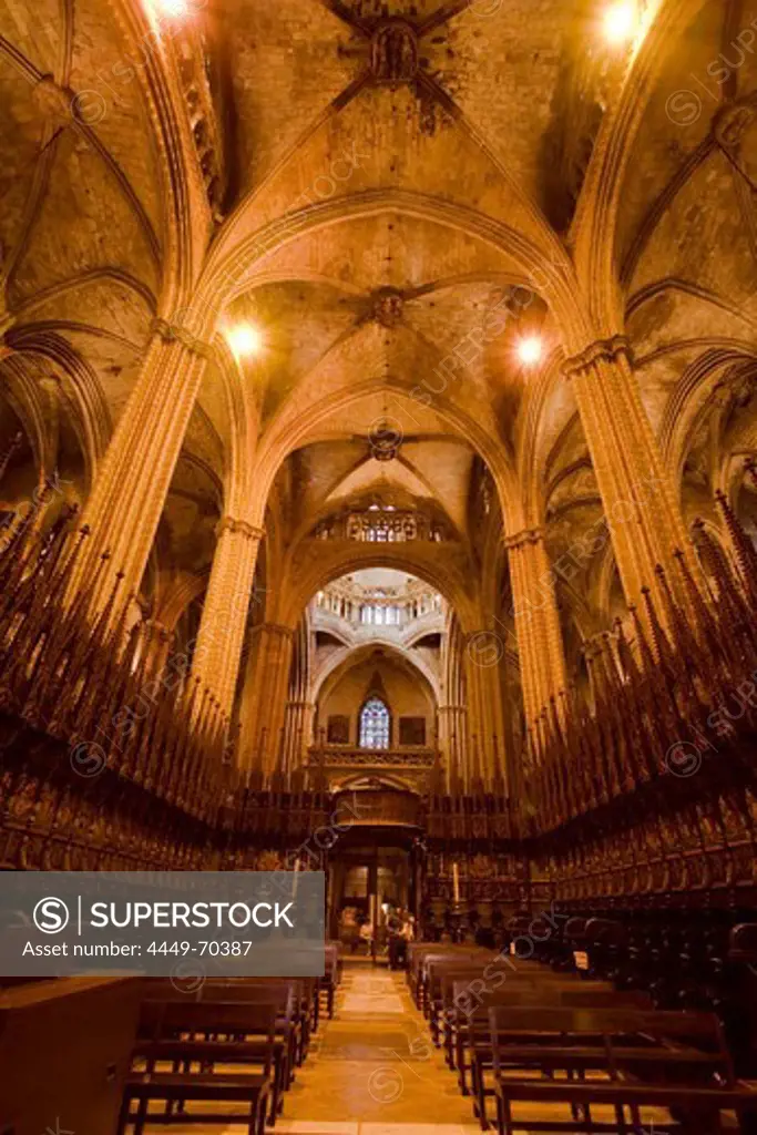 La Seu, Cathedral de Santa Eulalia, Barri Gotic, Ciutat Vella, Barcelona, Spain