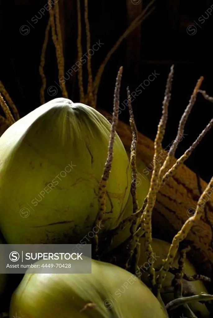Close up of a coconut with seeds, Thailand