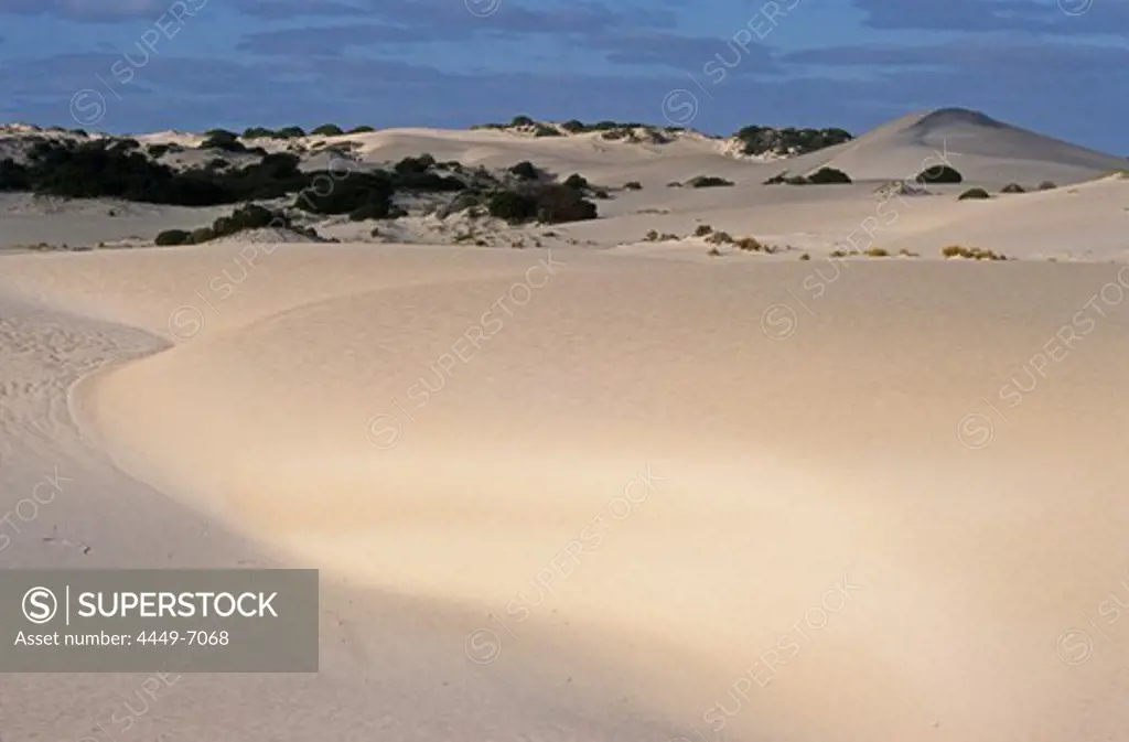 White sand dunes, Fitzgerald River, National Park, Western Australia, Australia