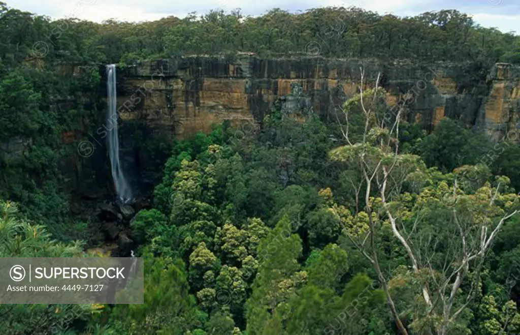 Fitzroy Falls, Morton National Park, New South Wales, Australia