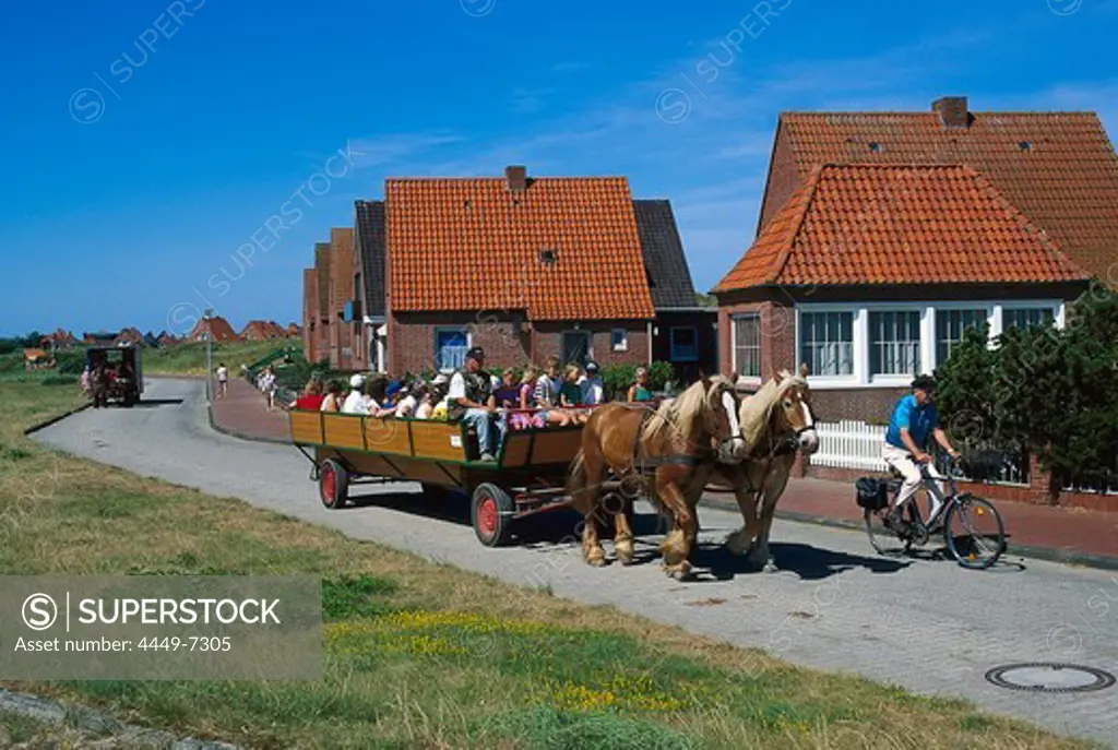 Horse-drawn carriage, Juist, East Frisian Islands, East Frisia, Lower Saxony, Germany